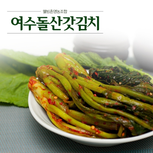 웰빙촌  여수 돌산 갓김치 4kg