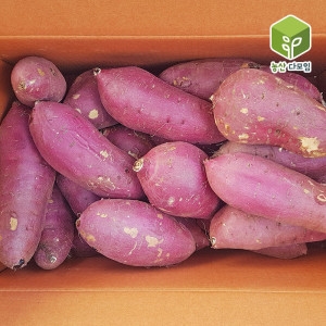 황토 햇 꿀밤고구마 왕특 10kg