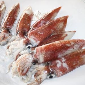 고씨네수산  제주도 생물 손질 한치오징어 소 700g내외