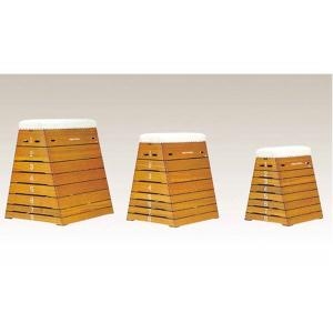 우리  WR-2557 뜀틀8단 선수용 특수아피통라왕목