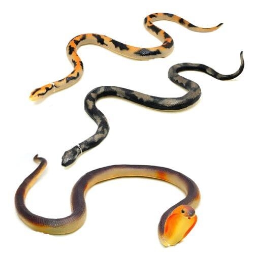 데코앤  데코앤 소프트 뱀  중