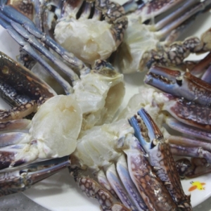 365푸드  바레인 절단 꽃게