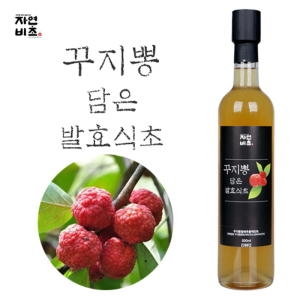 들산초 자연비초 꾸지뽕담은 발효식초 500ml