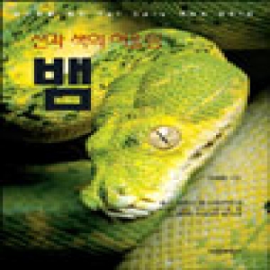 씨밀레북스  선과 색의 어울림 뱀 - 마니아를 위한 Pet Care 시리즈 10