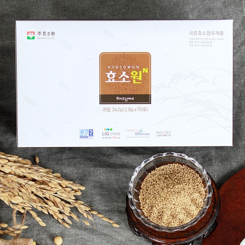 효소원 N 3.8g 90포