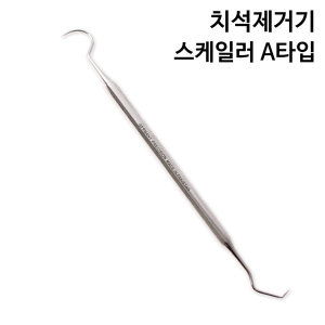 바다르산스 치석제거기 B타입
