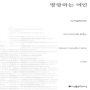 방랑하는 여인  지식을만드는지식 소설선집