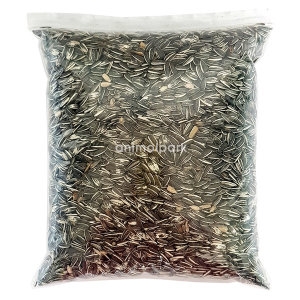 애니몰  해바라기씨 2kg