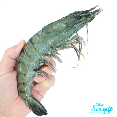 씨기프트  특A급 블랙타이거새우 500g 30미 500g 냉동왕새우