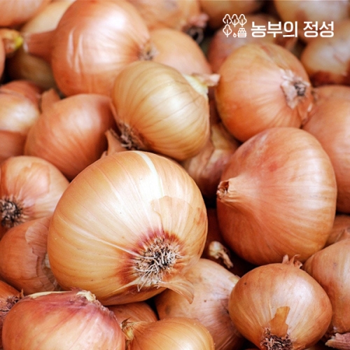 농부의정성 무안 양파 중대 3kg