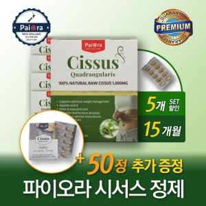 파이오라 시서스 1000 90정