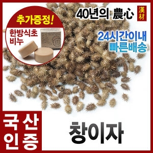 자애인 국산 말린 창이자 1200g 도꼬마리 창이자차