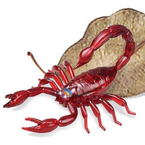 유아용 곤충학습 전갈모형 미니갑각류 모형 장난감