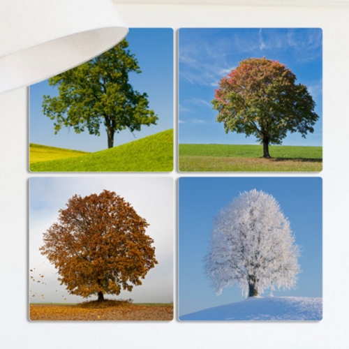 꾸밈  cf482-멀티액자_봄여름가을겨울모습의나무