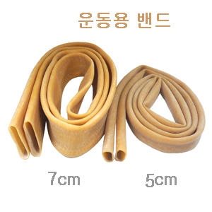 운동용 고무밴드