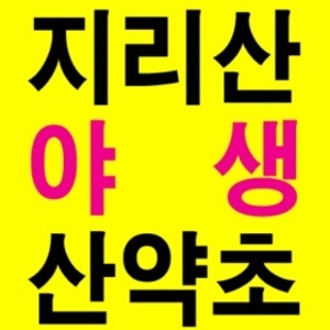 지리산한약나라 지리산약초/야생/유근피/오가피/칡/갈근/옻나무