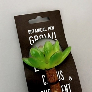 놀이터  보테니컬 펜 세듐-마키