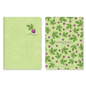 히스엠  더워드 B6 프리노트 - Fruit (무화과)