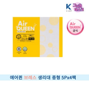 에어퀸 브레스 중형 5개