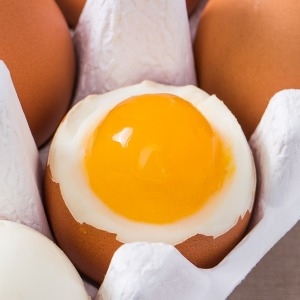 에코호유  호유란 짜지않고 촉촉한 반숙계란 30구