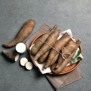 농협 산마 알뜰 2kg 안동마 진주마 생마 참마 장마