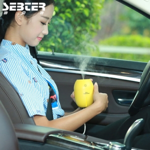 미세먼지 차량용 공기청정기 새차 담배냄세 제거가습기 스프레이 공기