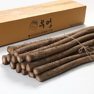 농협 우엉 서안동 국내산 우엉 4kg