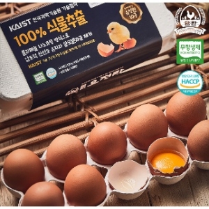 한솔양계  맘란 무항생제 유정란 대란 30구 살모넬라 안심 KAIST 계란
